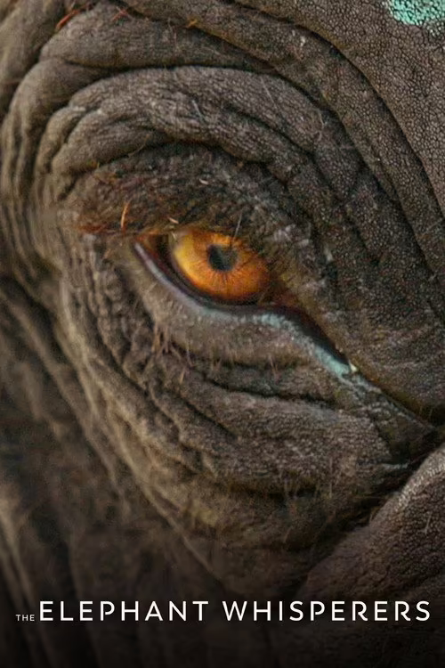 The Elephant Whisperers (2022) Hindi Dubbed 1080p & 720p